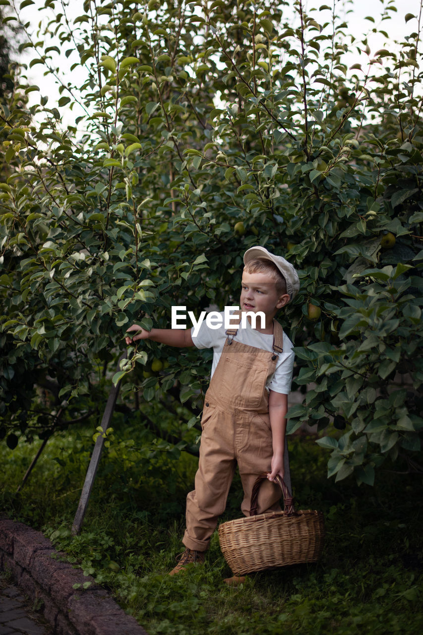 Full length of girl standing by basket against trees