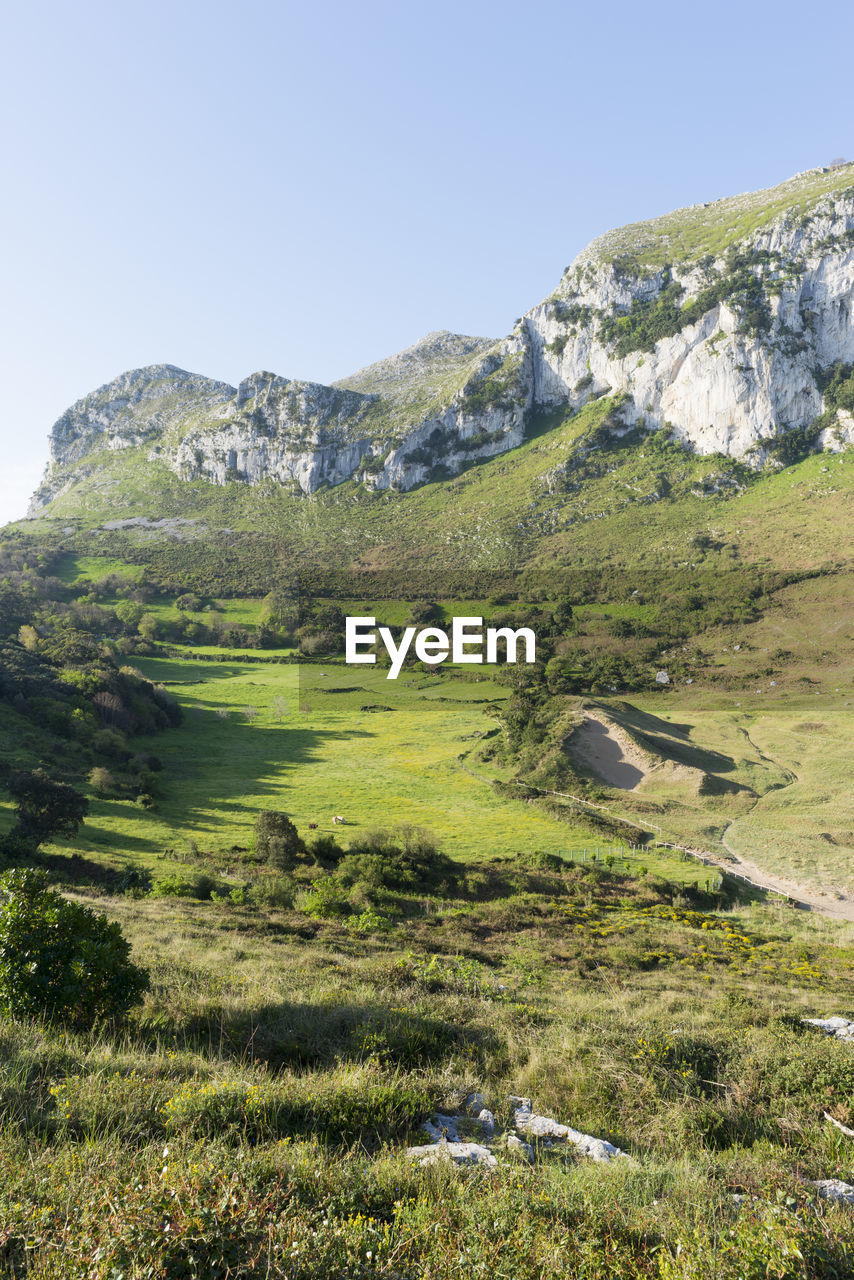 Scenic view of field and mountains against clear sky