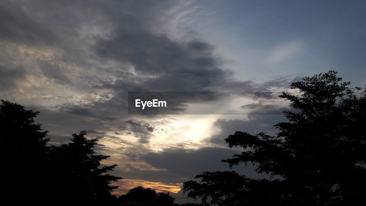 LOW ANGLE VIEW OF SILHOUETTE TREES AGAINST SKY