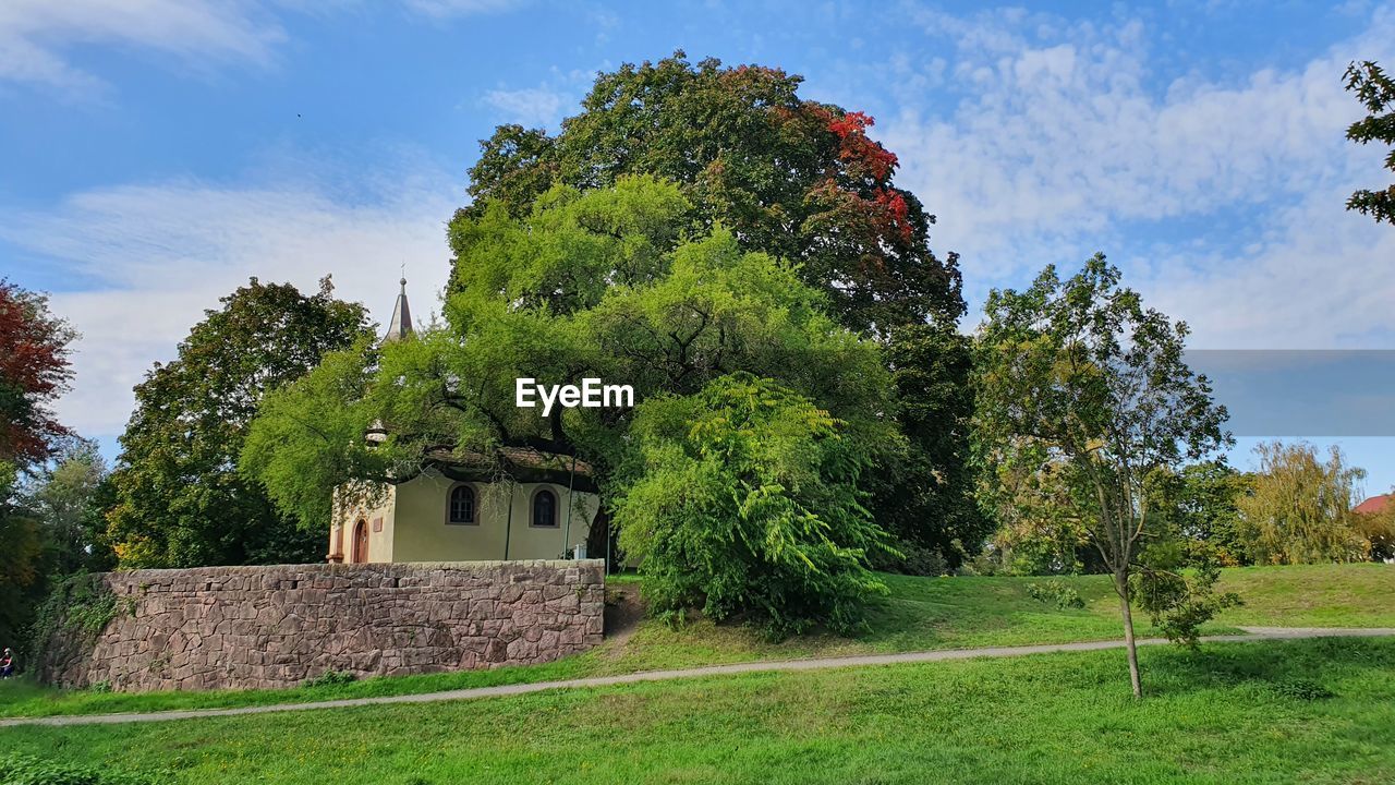 Trees and plants on field against sky