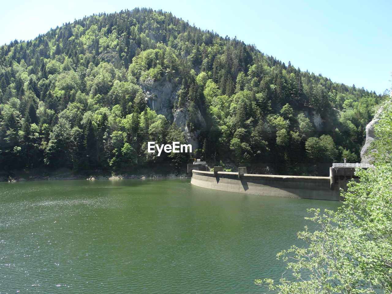 SCENIC VIEW OF LAKE AND TREES