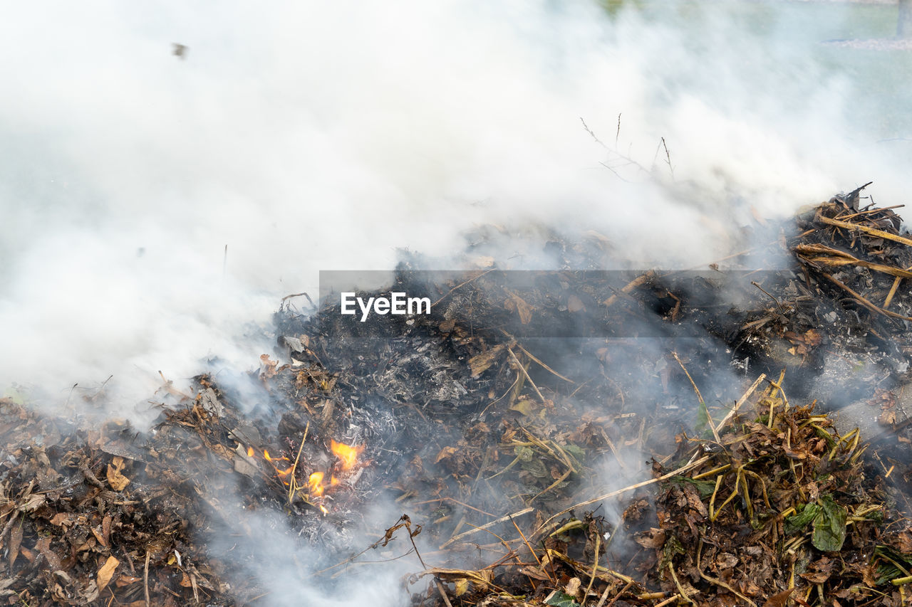smoke, burning, fire, environment, nature, heat, land, wildfire, flame, forest fire, no people, accidents and disasters, mountain, landscape, plant, outdoors, forest, day, environmental issues, pollution, beauty in nature, tree, soil, social issues, non-urban scene, burnt, steam