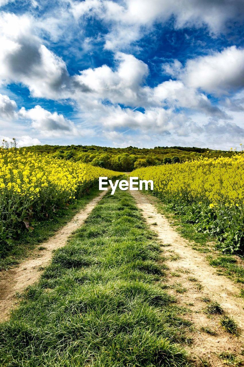 VIEW OF AGRICULTURAL FIELD AGAINST CLOUDY SKY