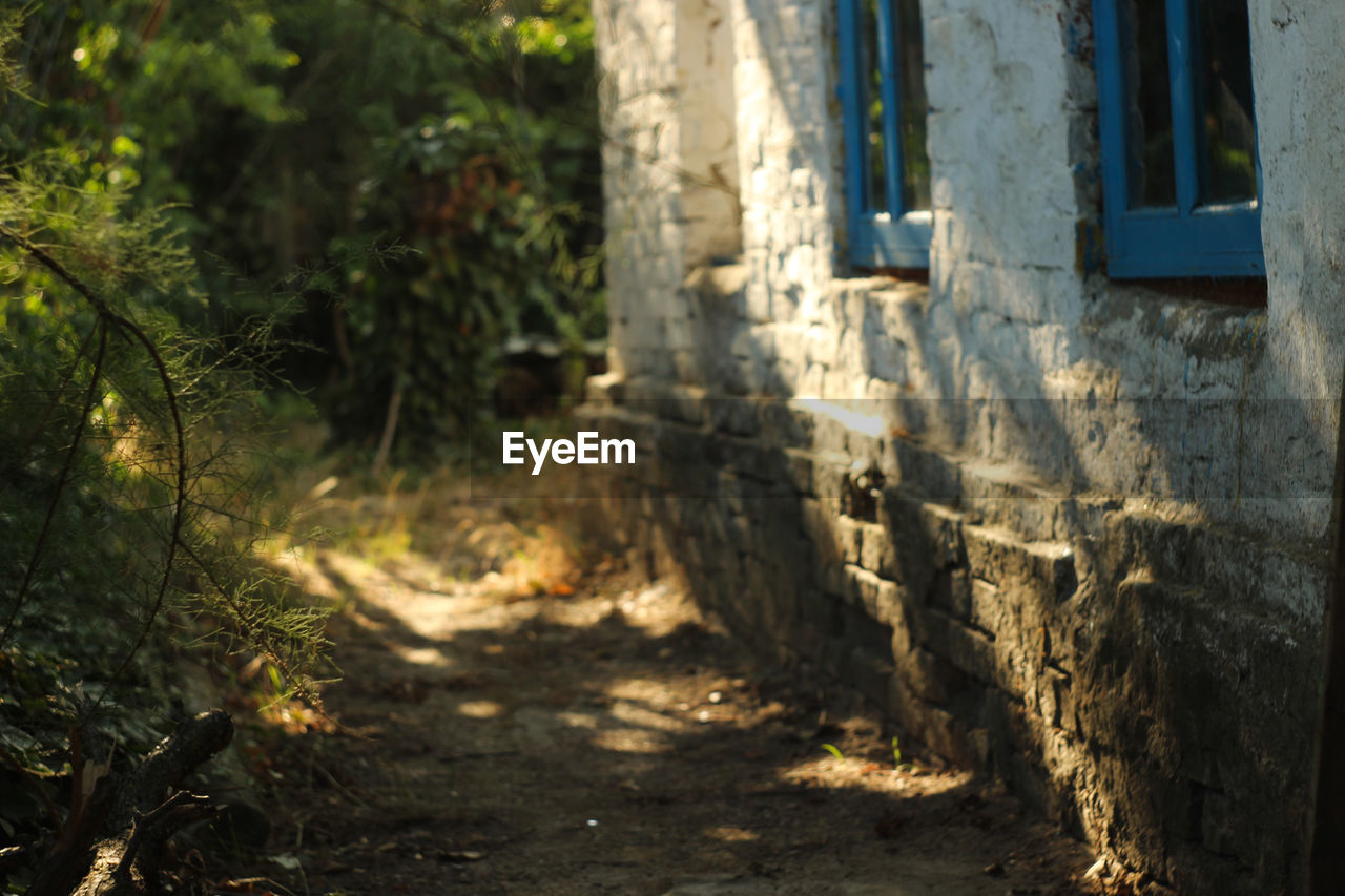 FOOTPATH AMIDST TREES AND BUILDINGS