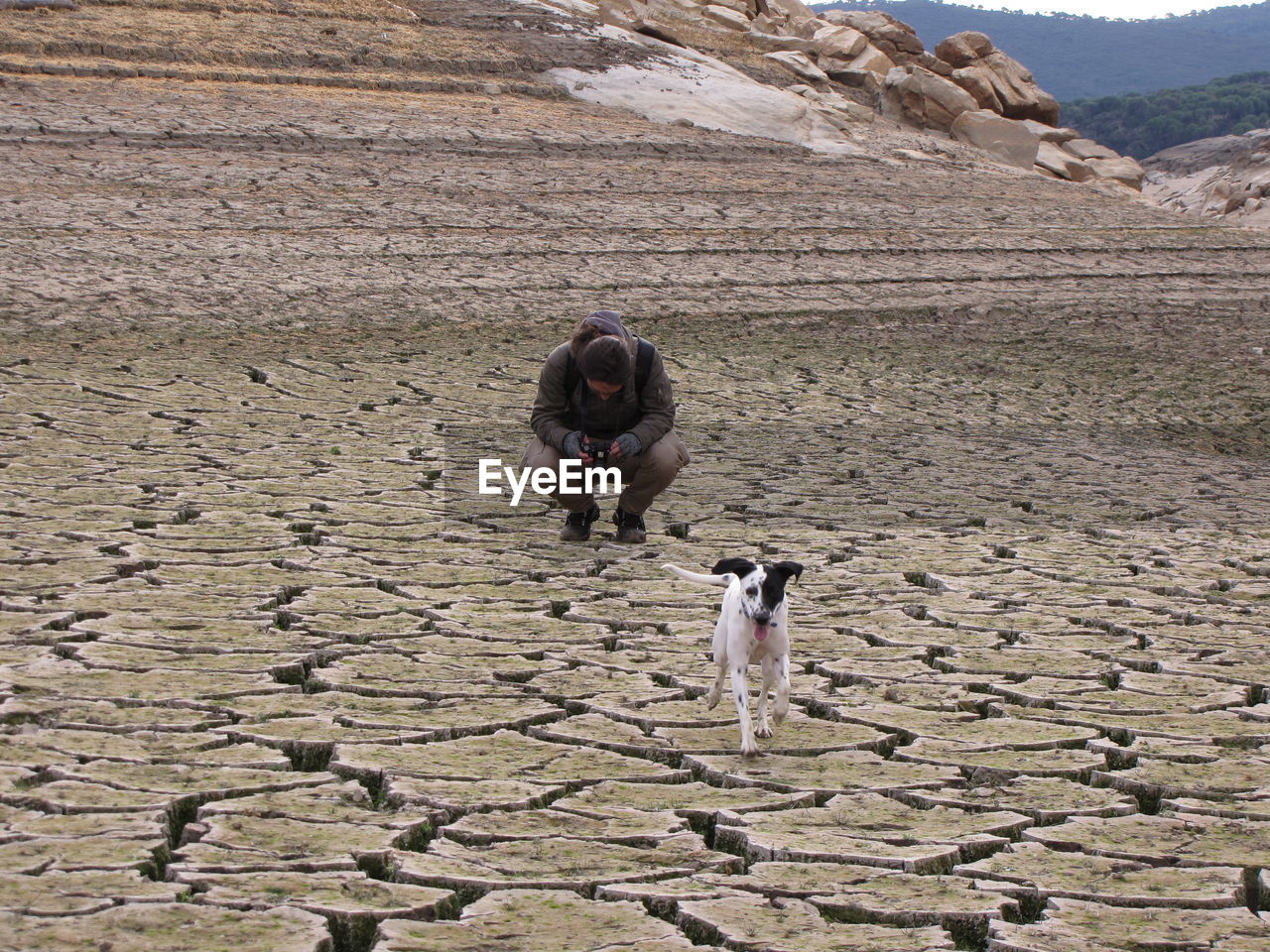 Man and dog on cracked field