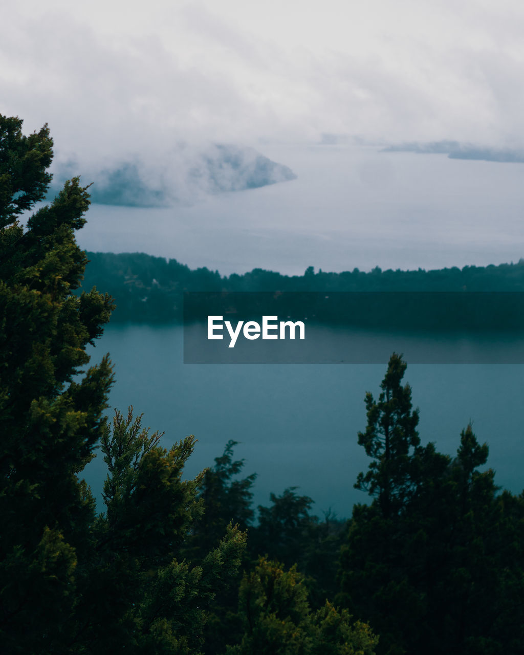 SCENIC VIEW OF LAKE AGAINST SKY IN FOREST