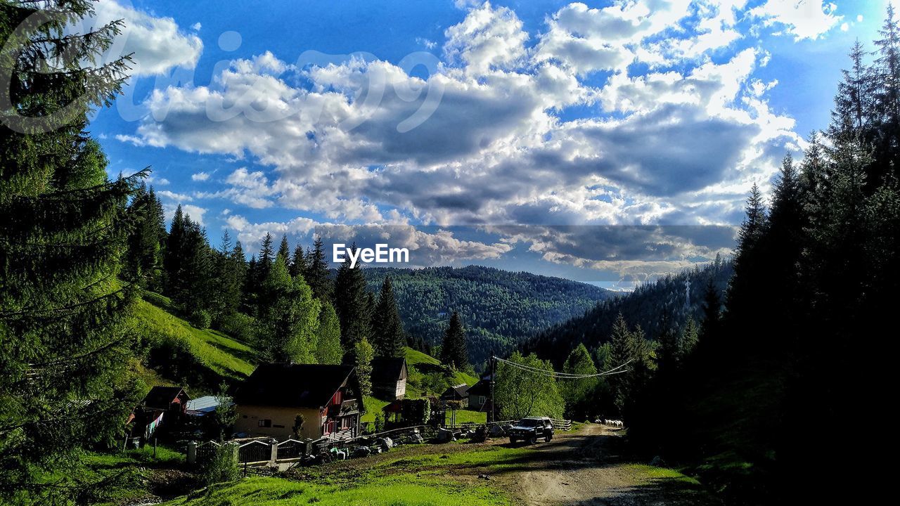 PANORAMIC SHOT OF TREES ON MOUNTAIN AGAINST SKY