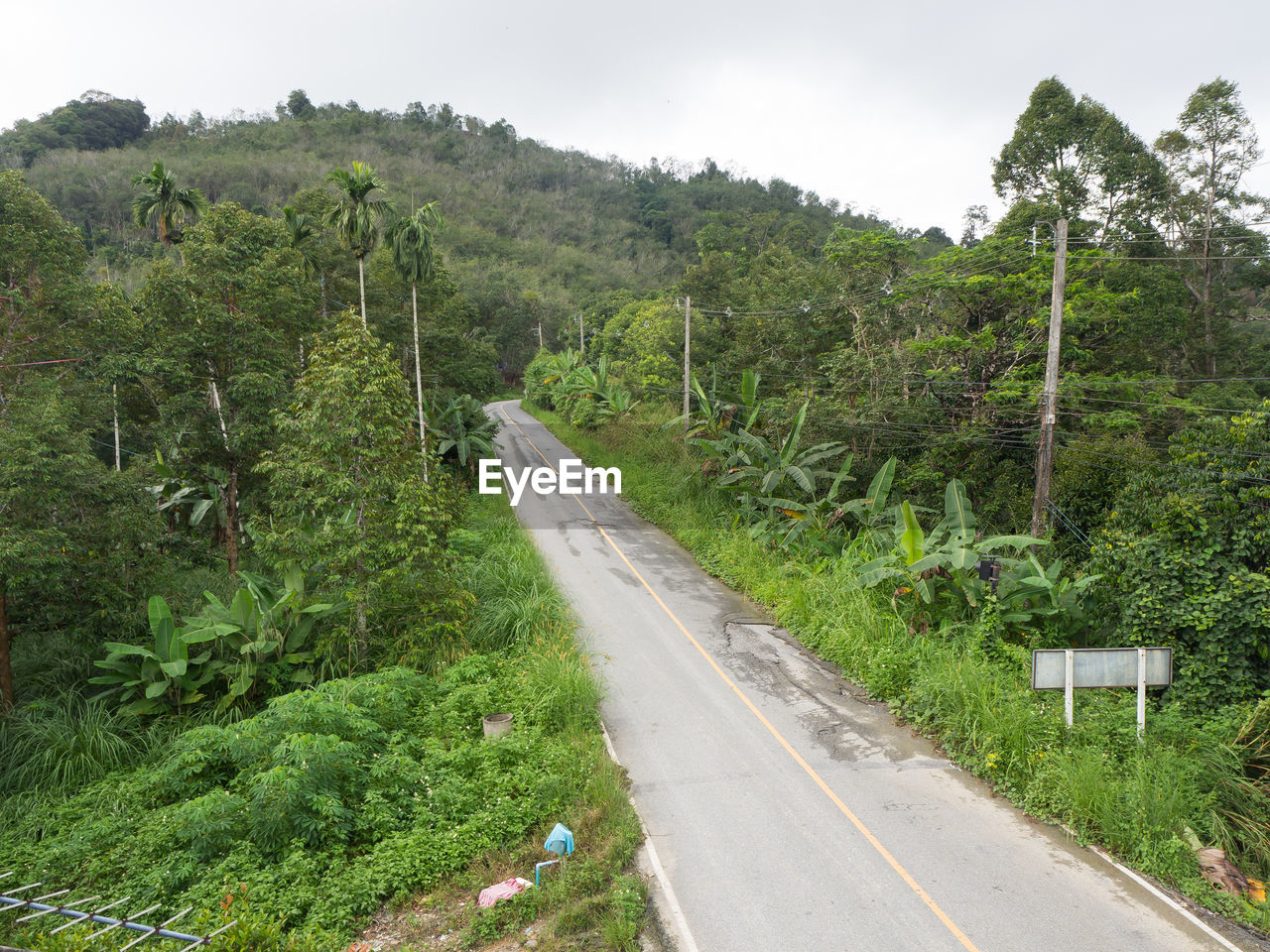 Road amidst trees and plants against sky