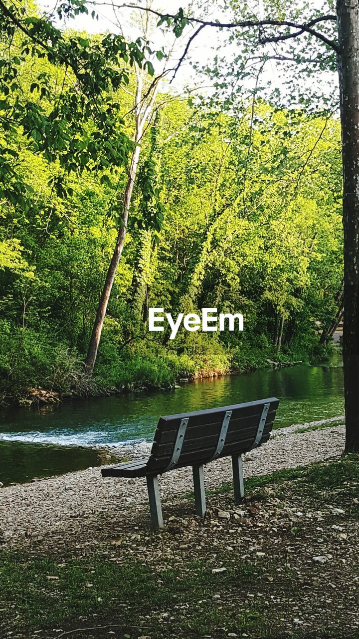 EMPTY PARK BENCH IN PARK