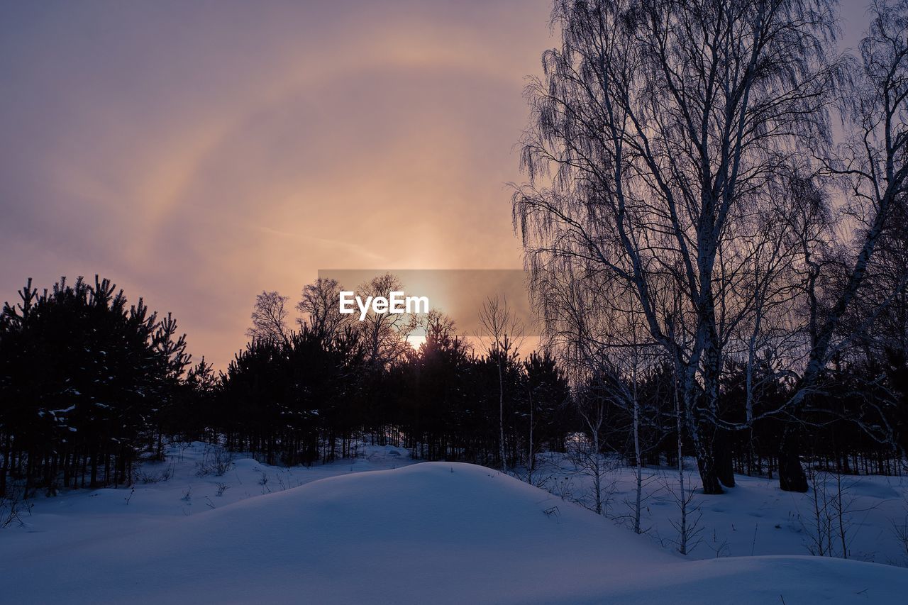 TREES ON SNOW COVERED FIELD AGAINST SKY DURING SUNSET
