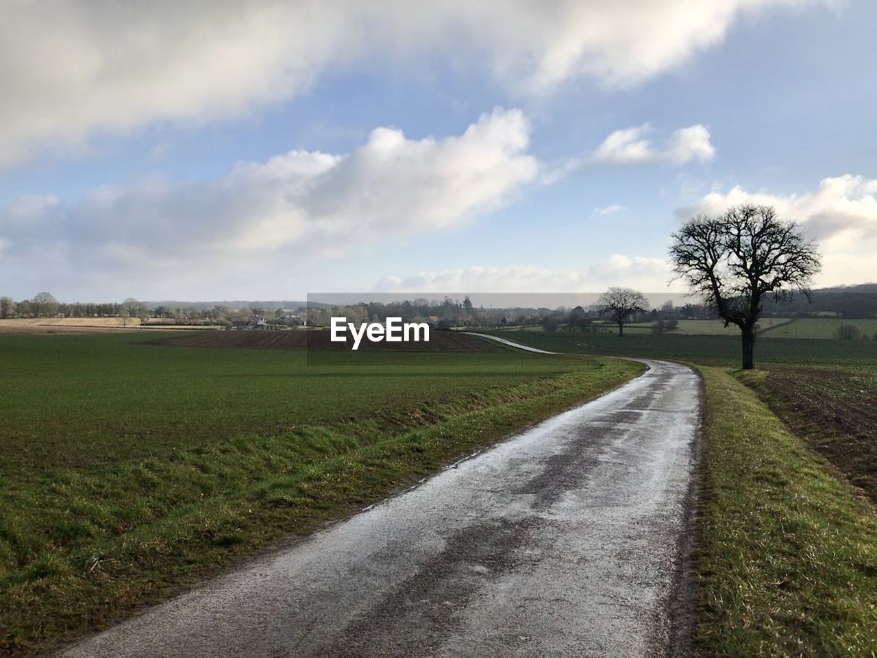 sky, landscape, plant, cloud, environment, rural area, road, field, grass, horizon, nature, land, tree, rural scene, transportation, plain, hill, the way forward, scenics - nature, agriculture, no people, tranquility, beauty in nature, prairie, diminishing perspective, tranquil scene, soil, day, outdoors, dirt, dirt road, growth, vanishing point, non-urban scene, infrastructure, farm, travel, morning, country road, green, highway, footpath