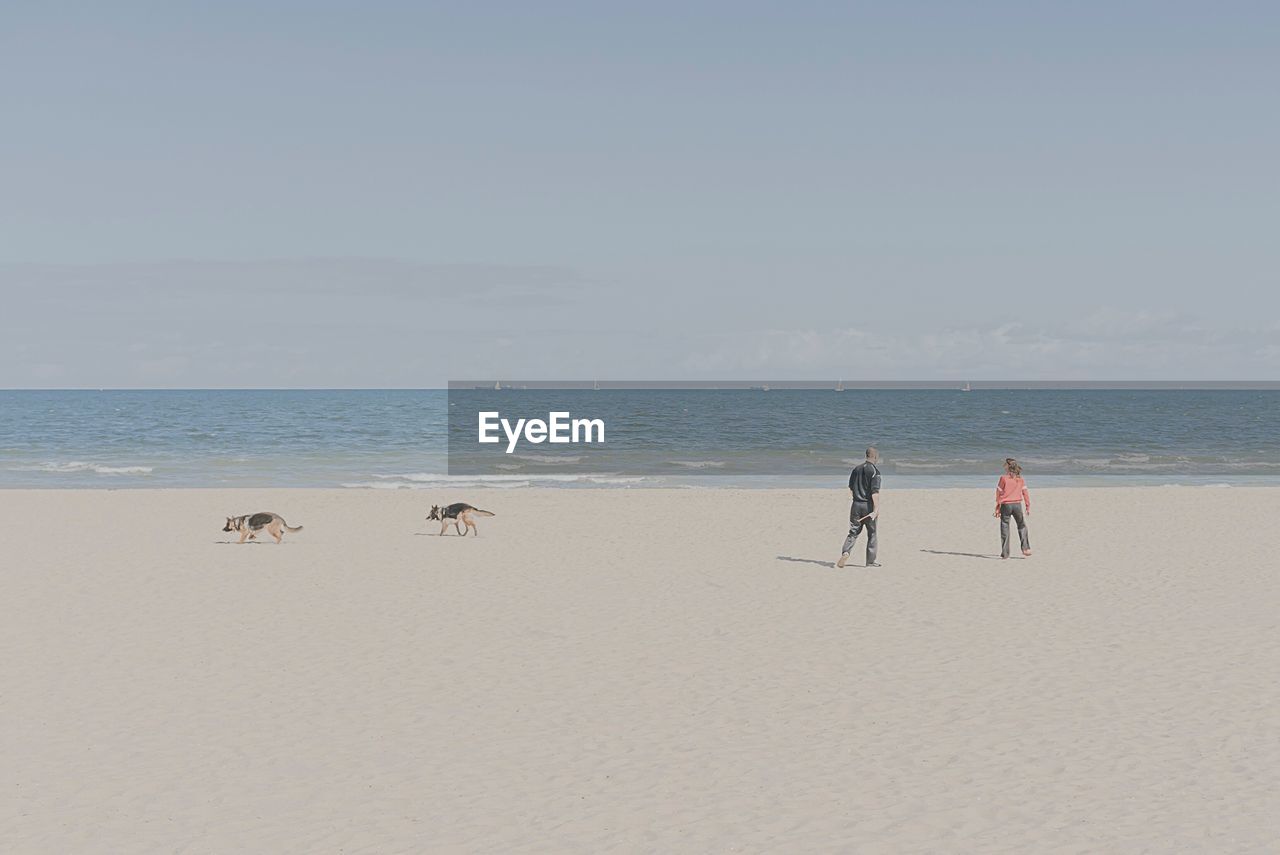 People and german shepherd at beach against sky