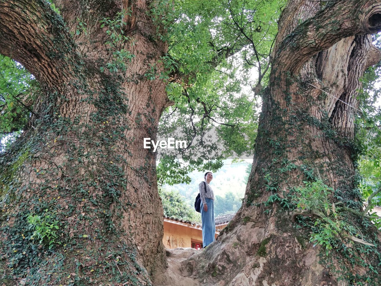 Woman standing by tree trunk in forest