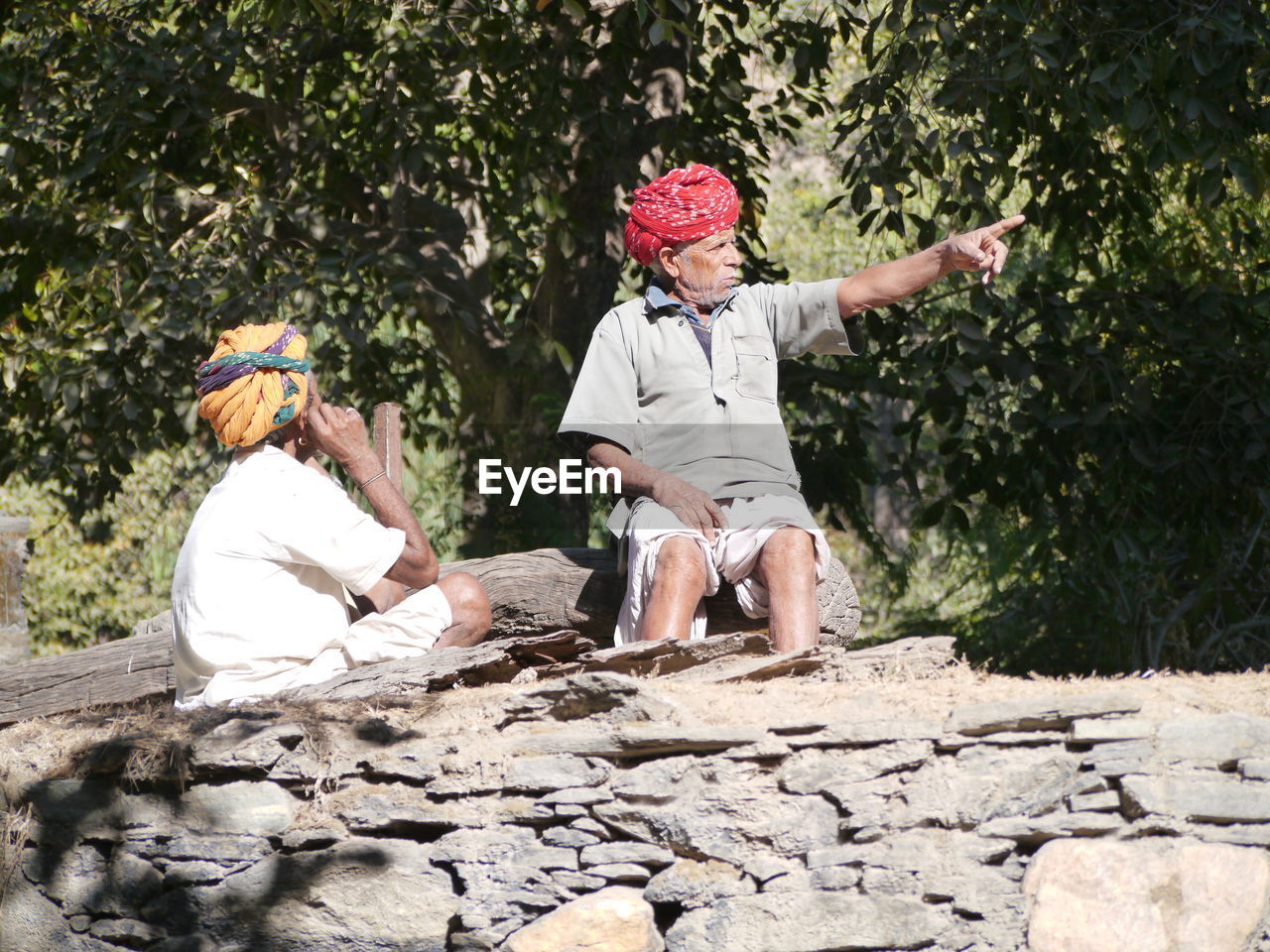 REAR VIEW OF WOMEN SITTING ON TREE