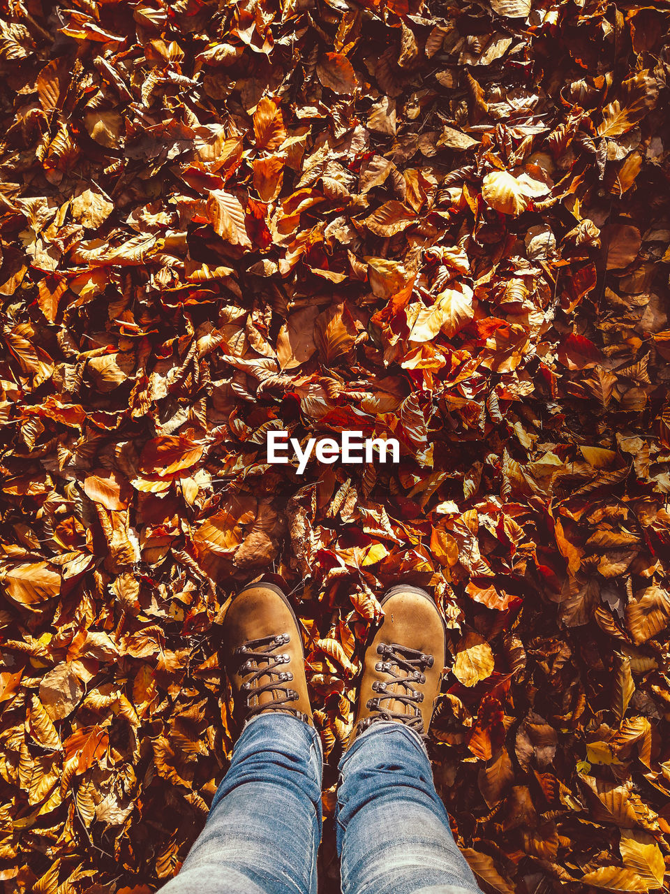 LOW SECTION OF PERSON STANDING ON DRY LEAVES