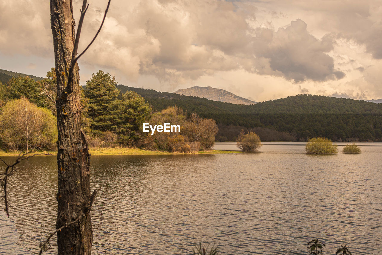 SCENIC VIEW OF LAKE BY TREE MOUNTAINS AGAINST SKY