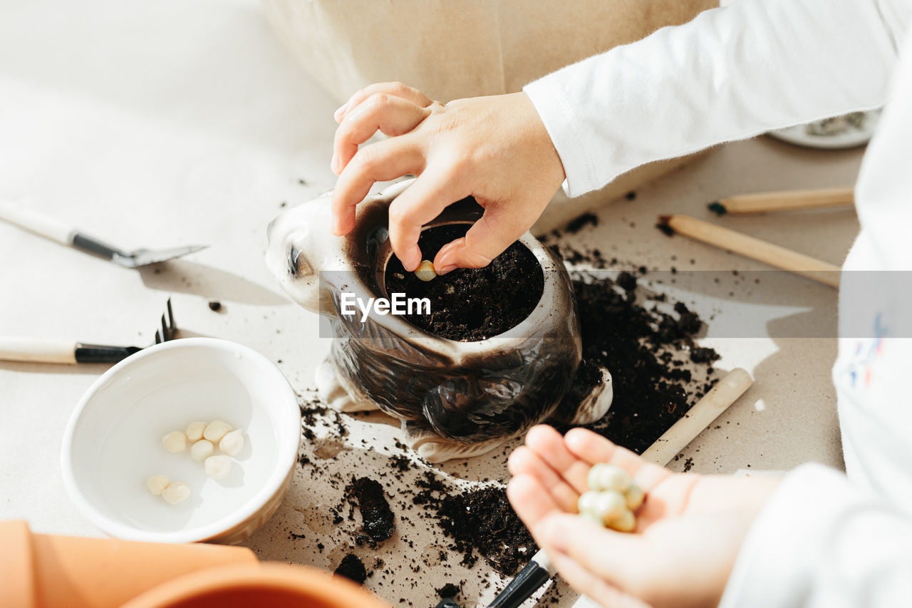 High angle view of woman gardening on table