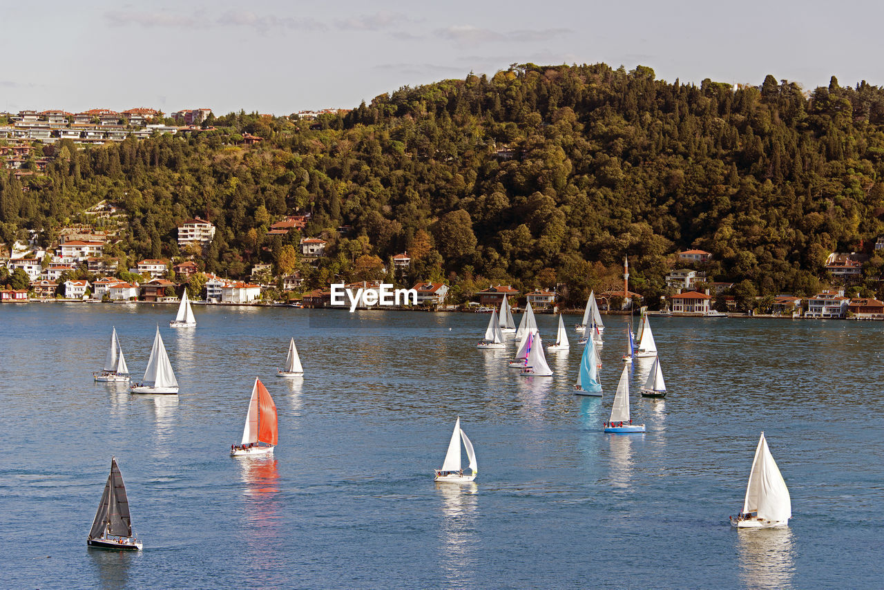 Sailing boats and yachts in bosporus cup in istanbul, turkey