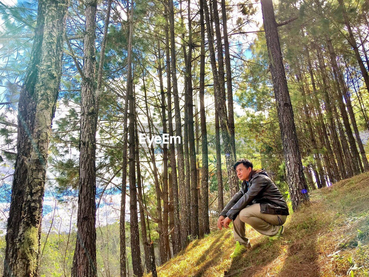 Low angle view of man crouching against trees in forest