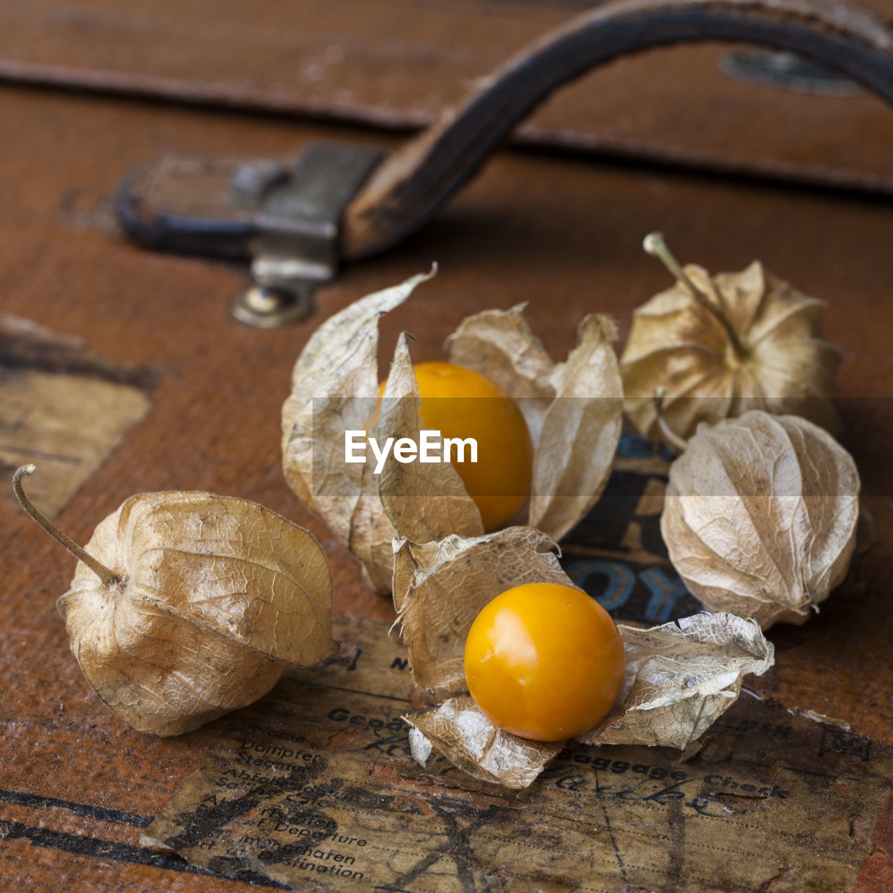 CLOSE-UP OF FRUIT ON TABLE