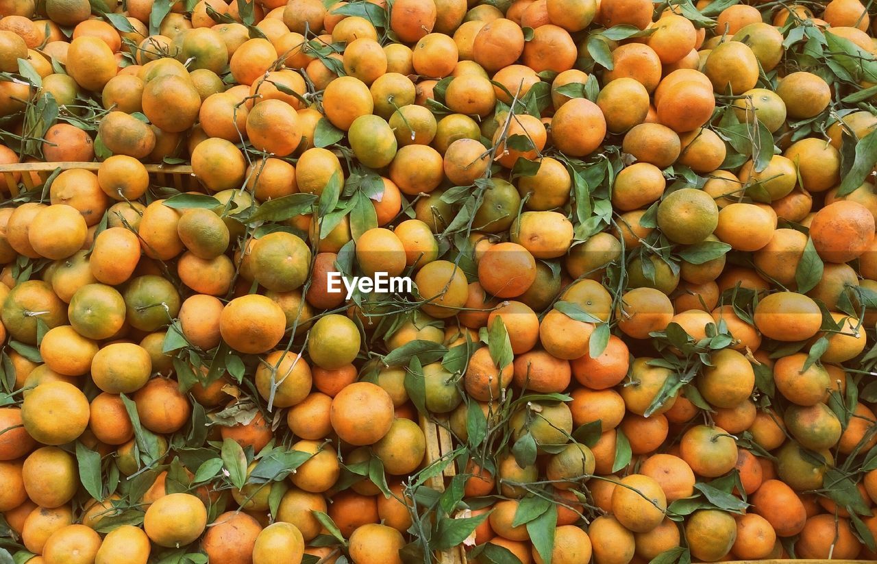 Full frame shot of orange fruits in market for sale