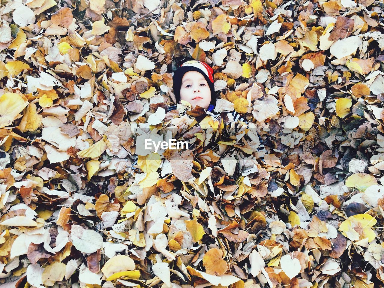 High angle portrait of boy covered with autumn leaves while lying at park