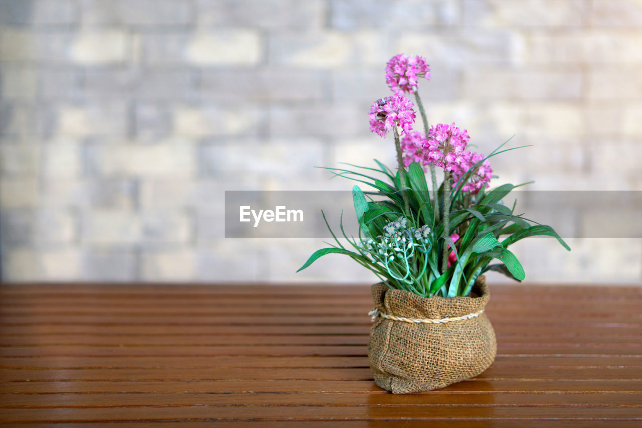 CLOSE-UP OF FLOWER AND TABLE