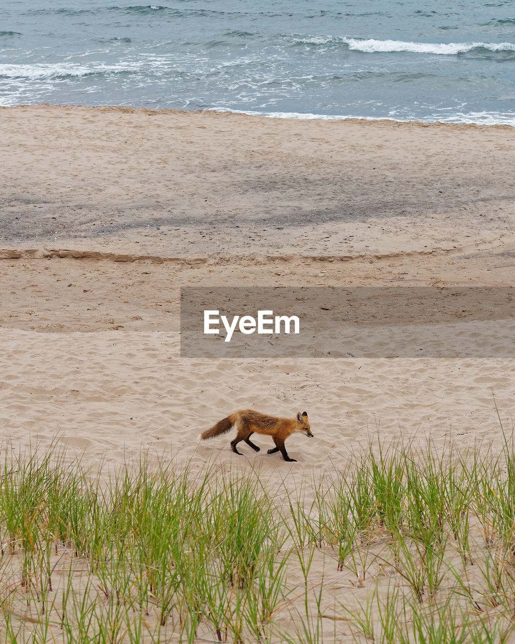 VIEW OF A SEA