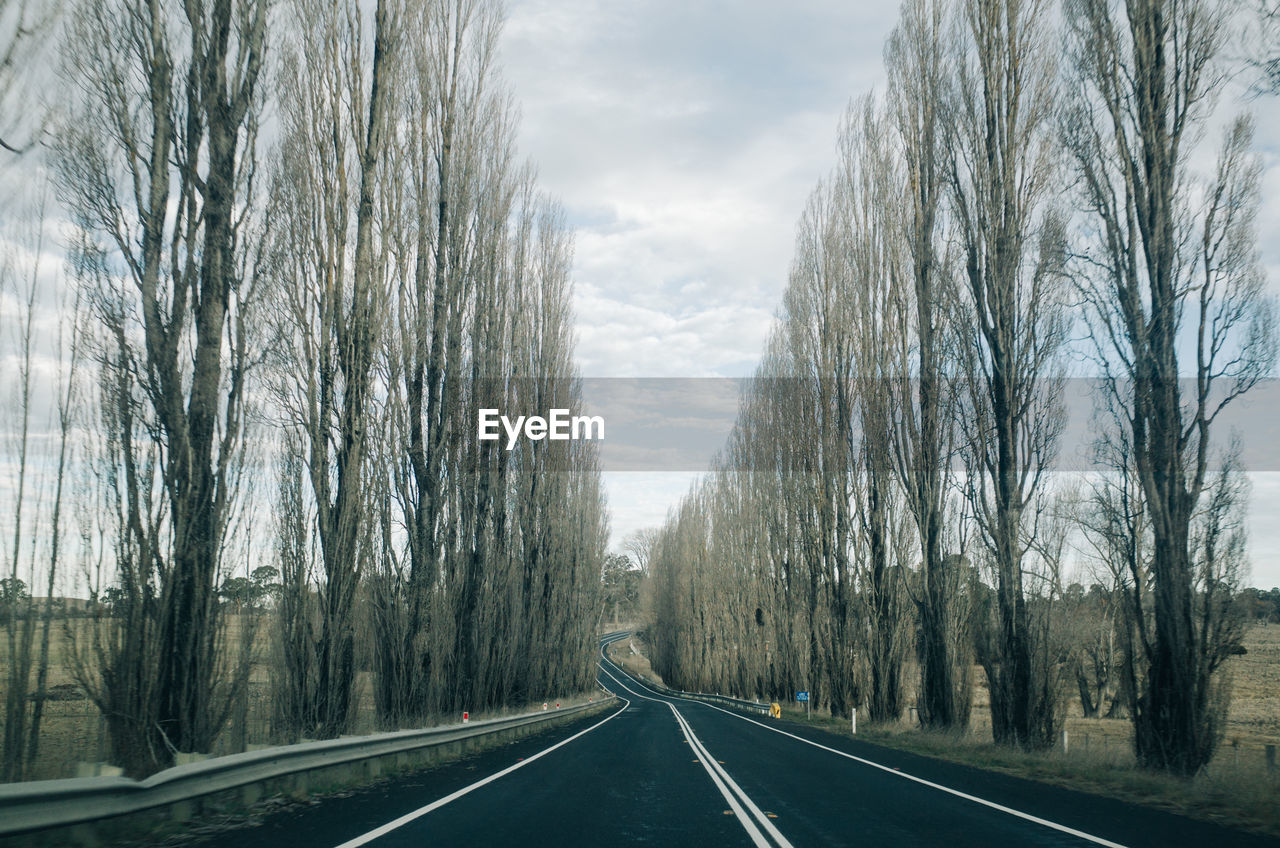 ROAD BY TREES AGAINST SKY