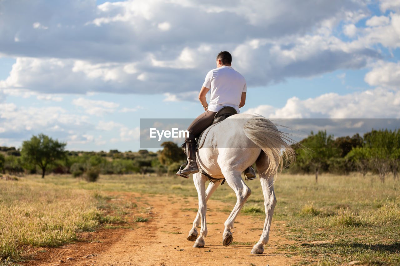 Rear view of man riding horse on land against sky