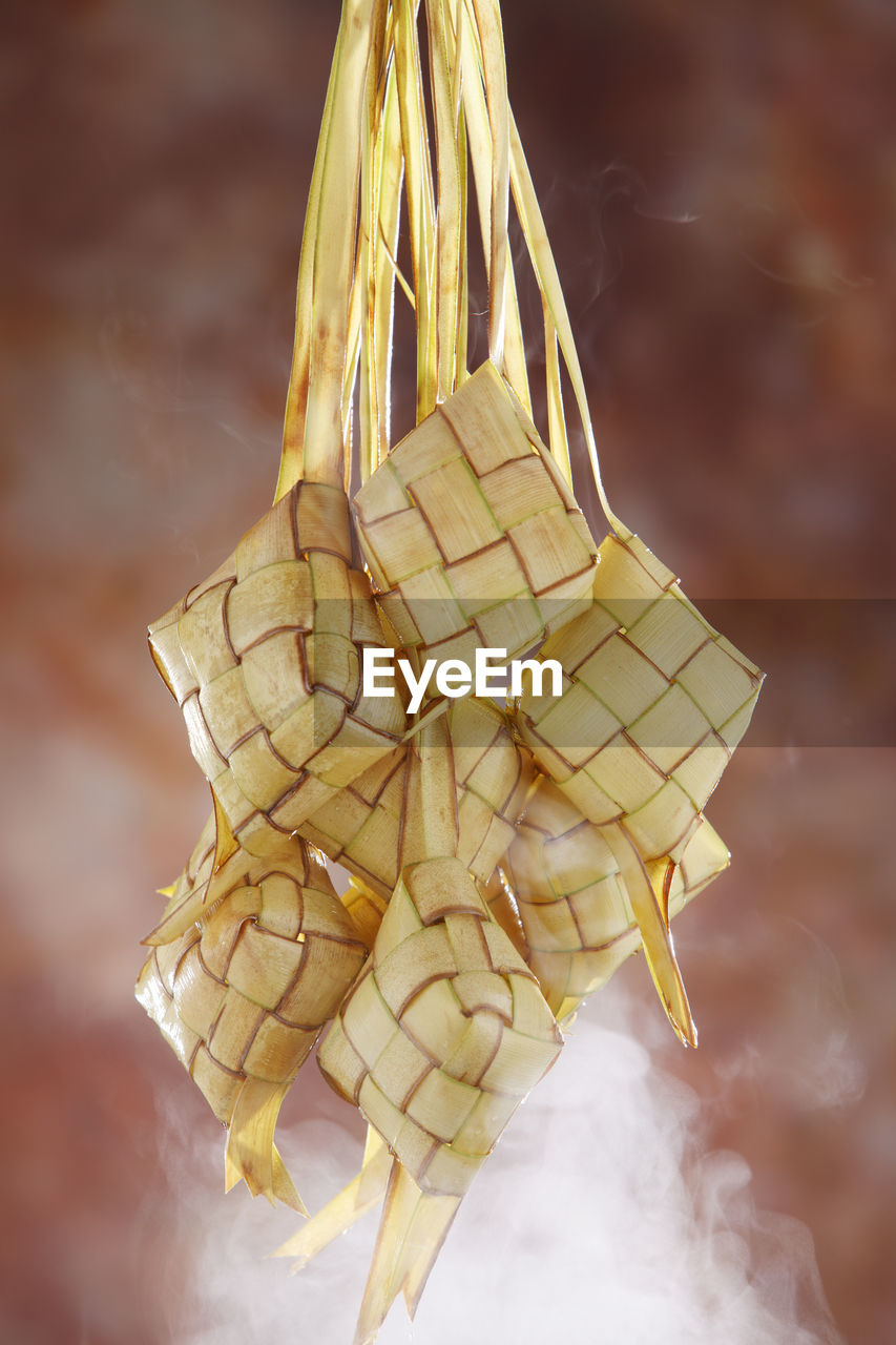 Close-up of ketupats hanging indoors