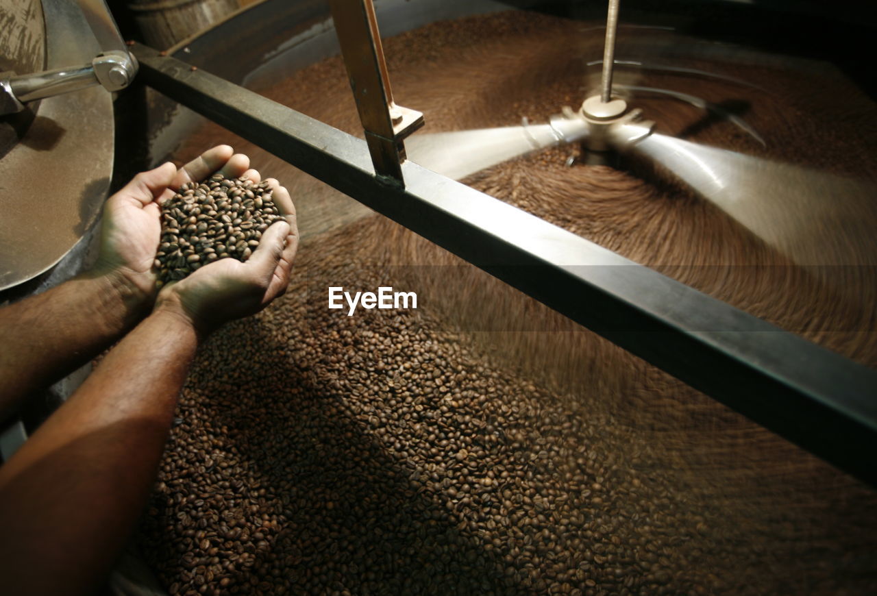 High angle view of hands holding coffee beans in industrial kettle