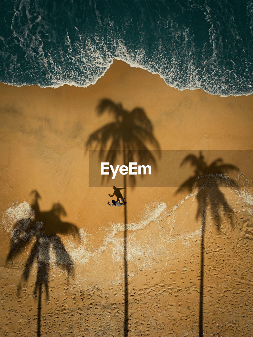 Silhouette of a man climbing a coconut tree by the shore line.