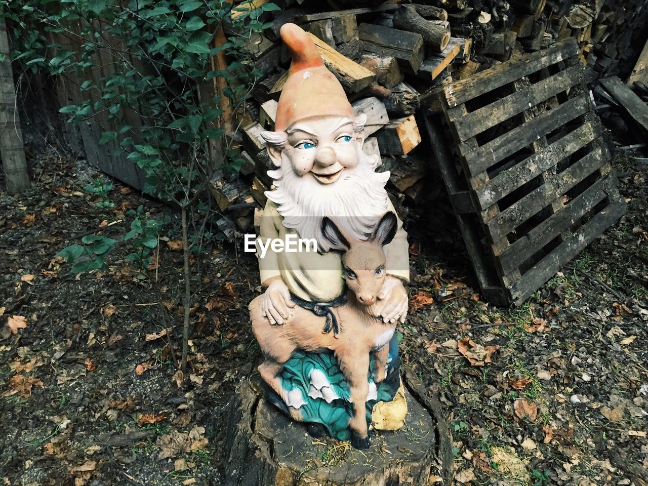 Garden gnome on tree stump