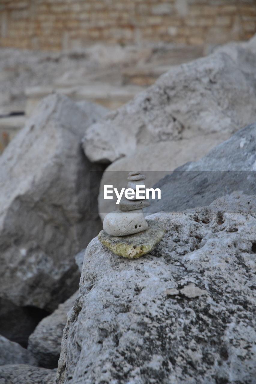 rock, no people, animal, geology, animal themes, nature, winter, focus on foreground, day, animal wildlife, outdoors, one animal, wildlife, rock formation, close-up