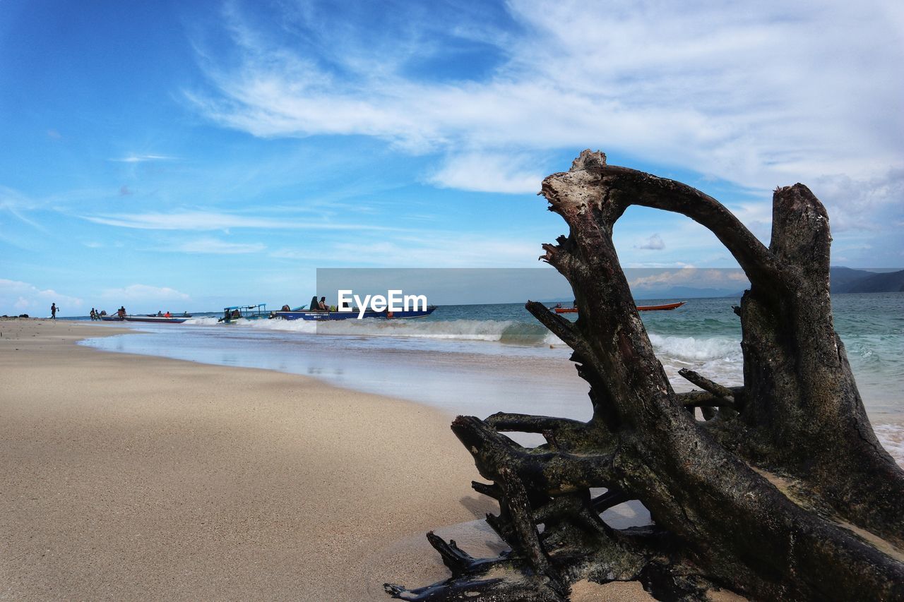 Driftwood on beach against sky