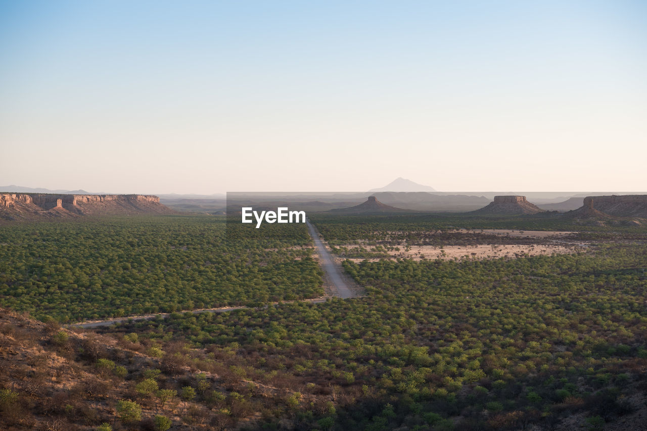 Scenic view of agricultural field against clear sky