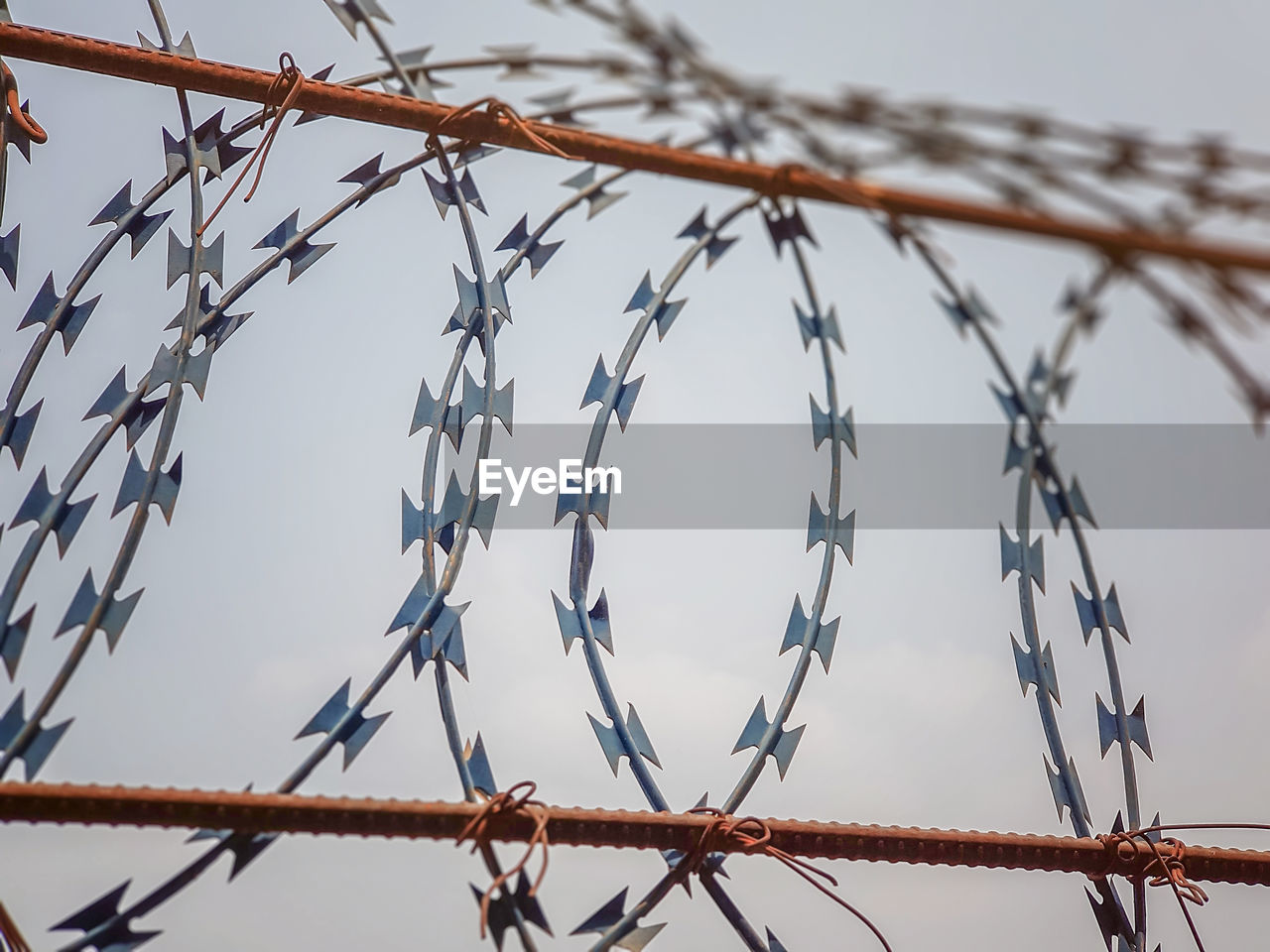 A close-up view of a tangled barbed wire - sharp razor wire