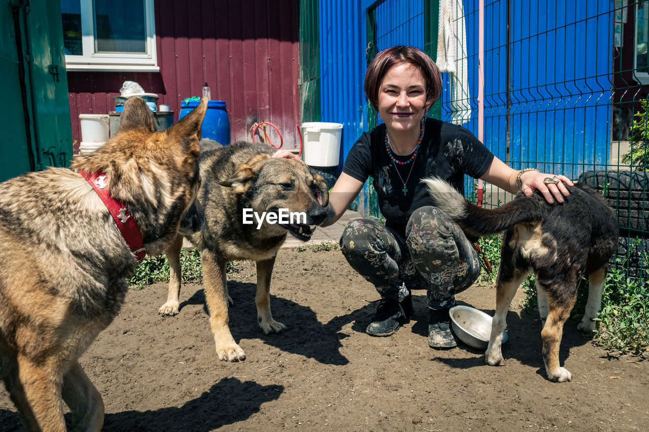 Dog at the shelter. animal shelter volunteer takes care of dogs. 