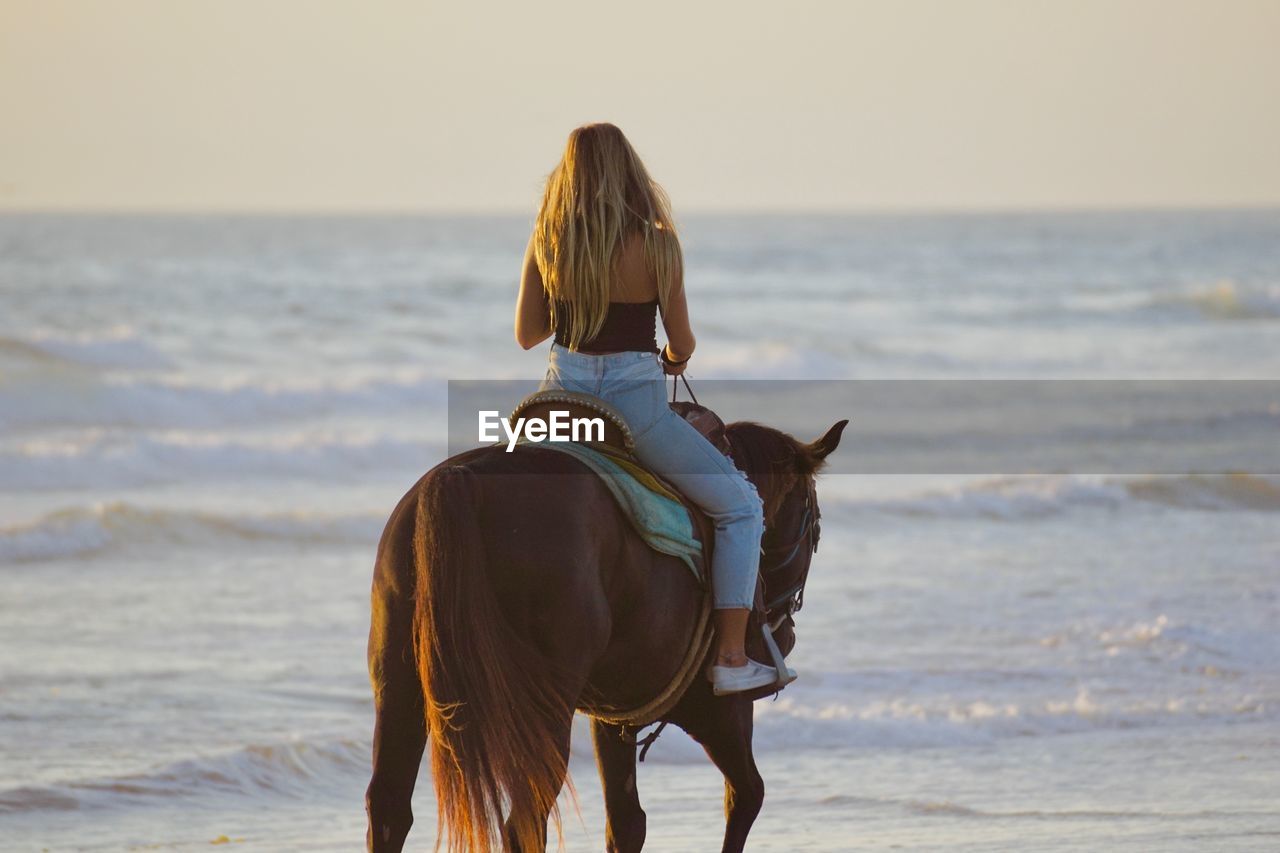 Rear view of person riding horse on beach
