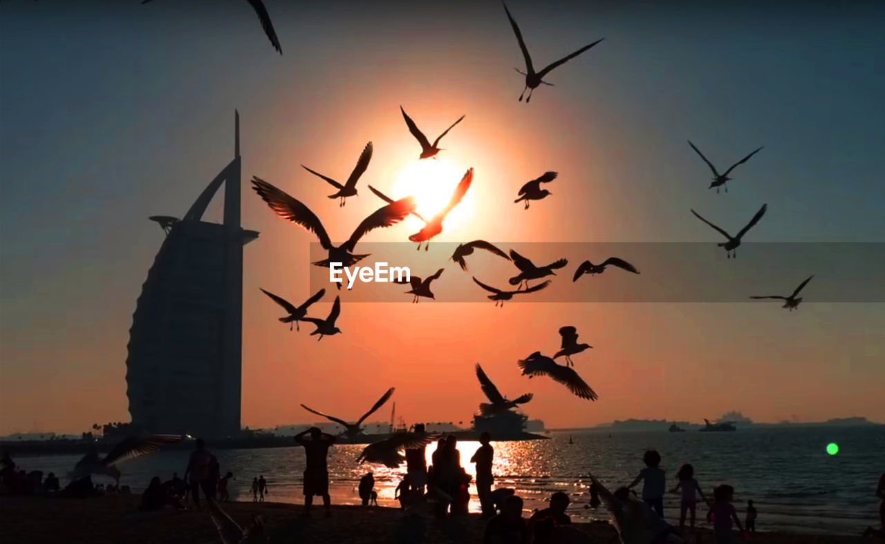 SILHOUETTE PEOPLE BY BIRDS FLYING OVER SEA AGAINST SKY DURING SUNSET