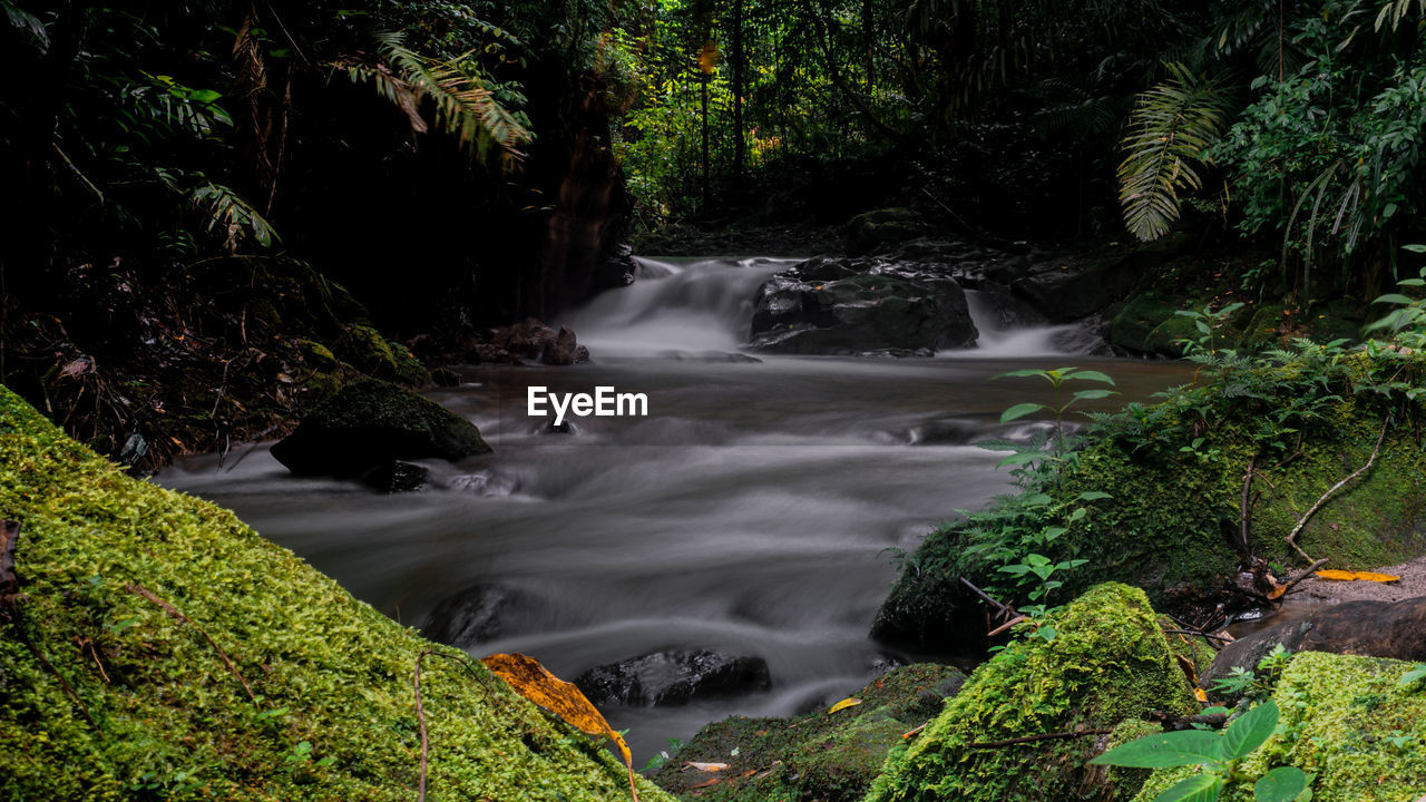 Stream flowing through rocks in forest