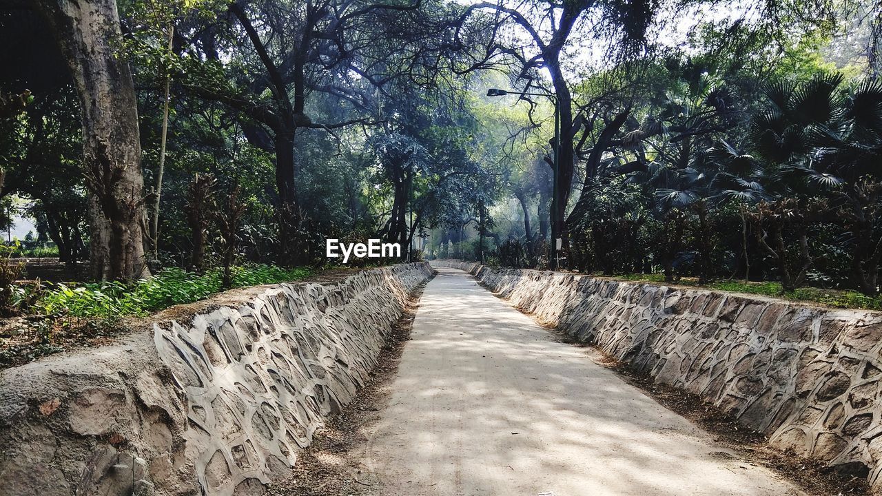 Walkway amidst trees