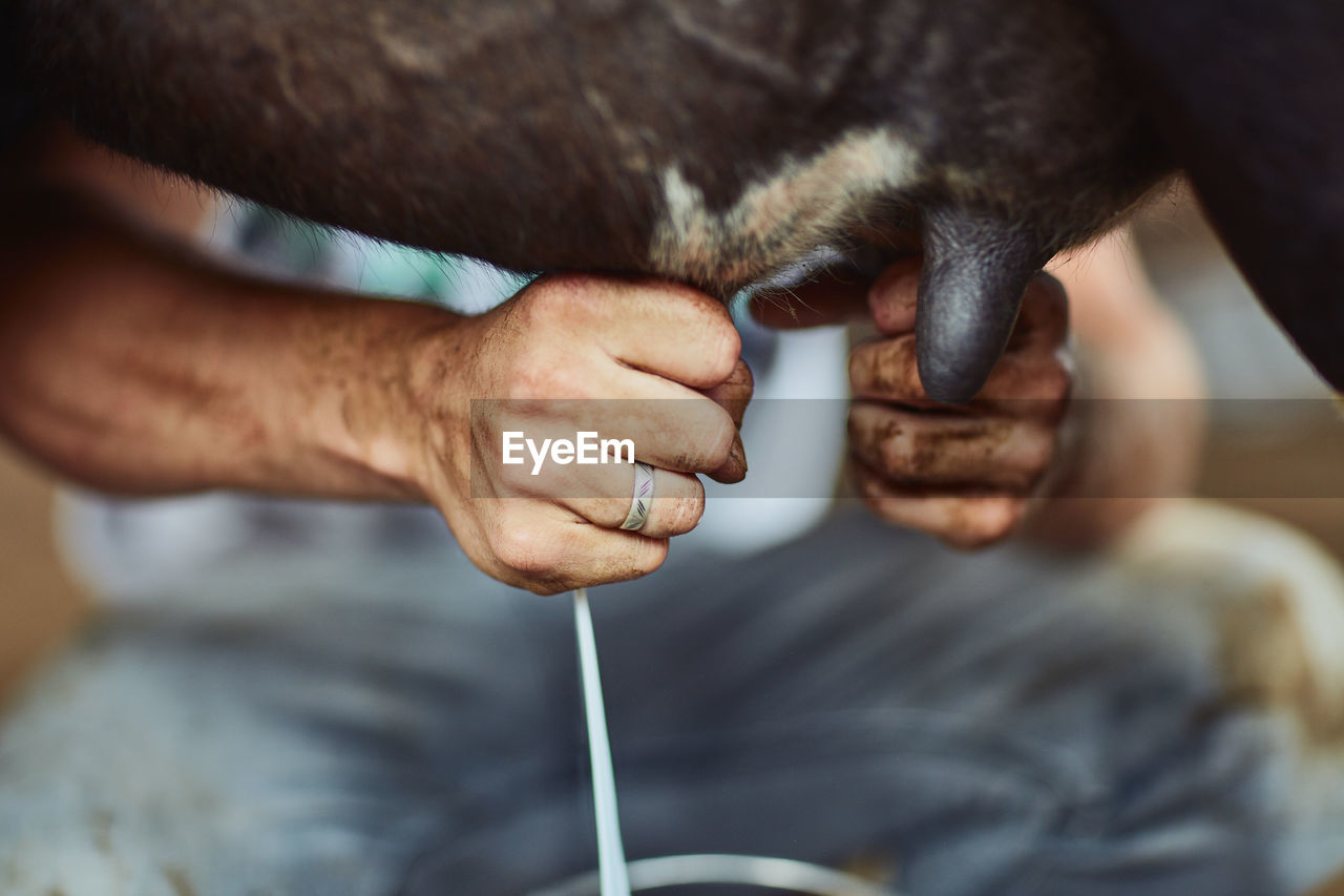 cropped image of man repairing pipe