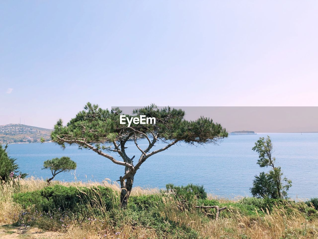 Scenic view of sea against clear sky