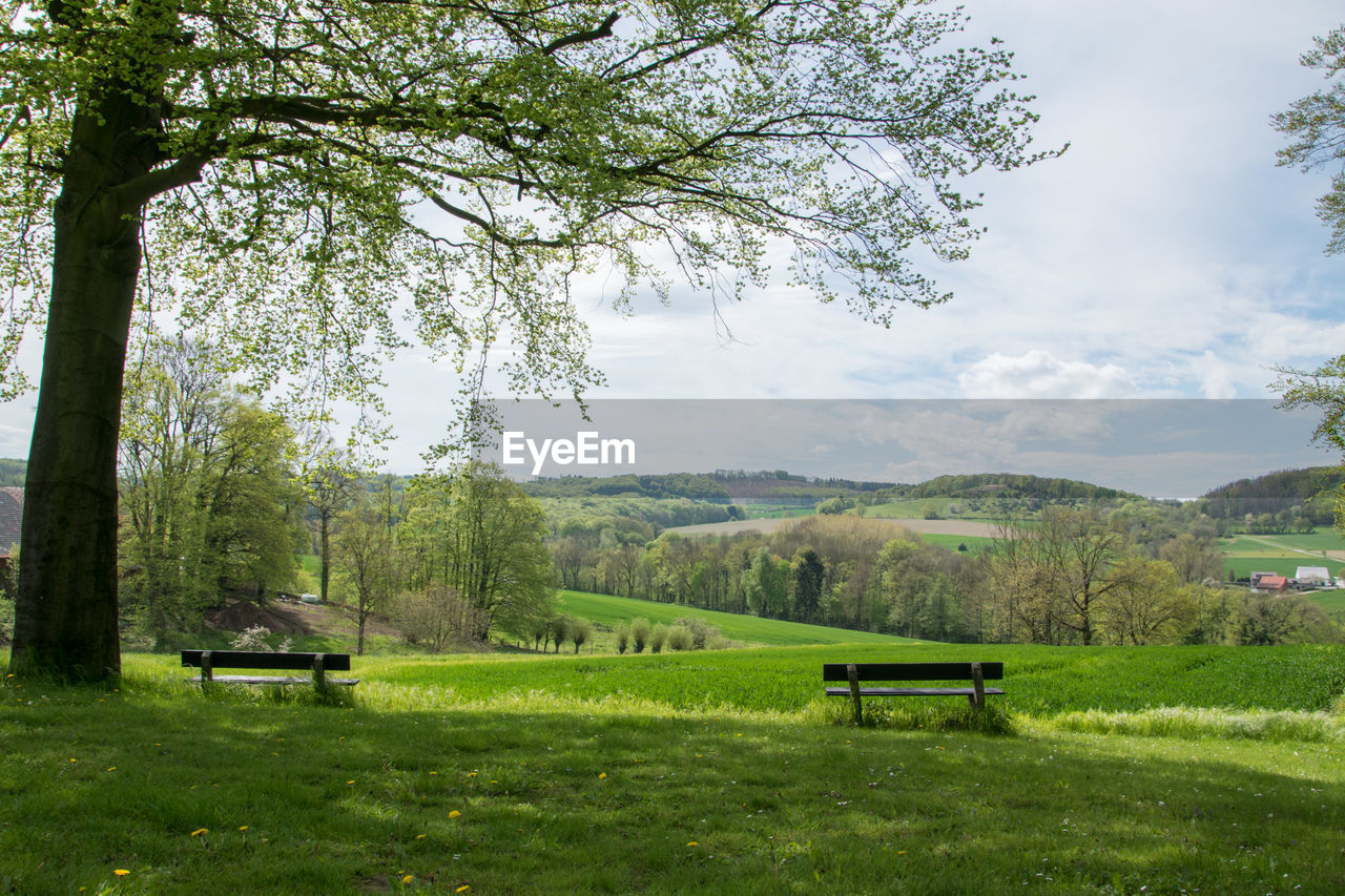 PARK BENCH ON FIELD