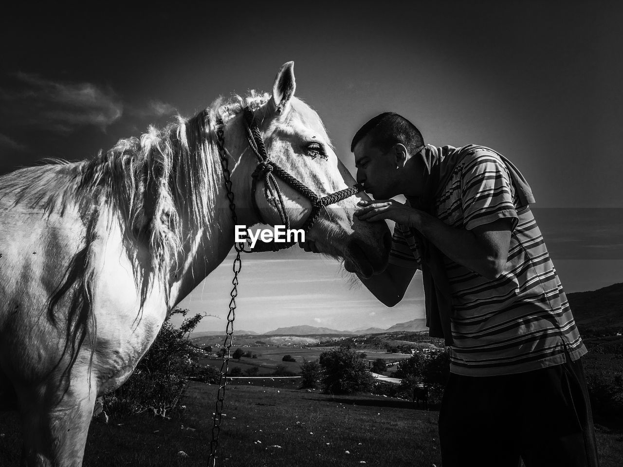 Man kissing horse while standing against sky