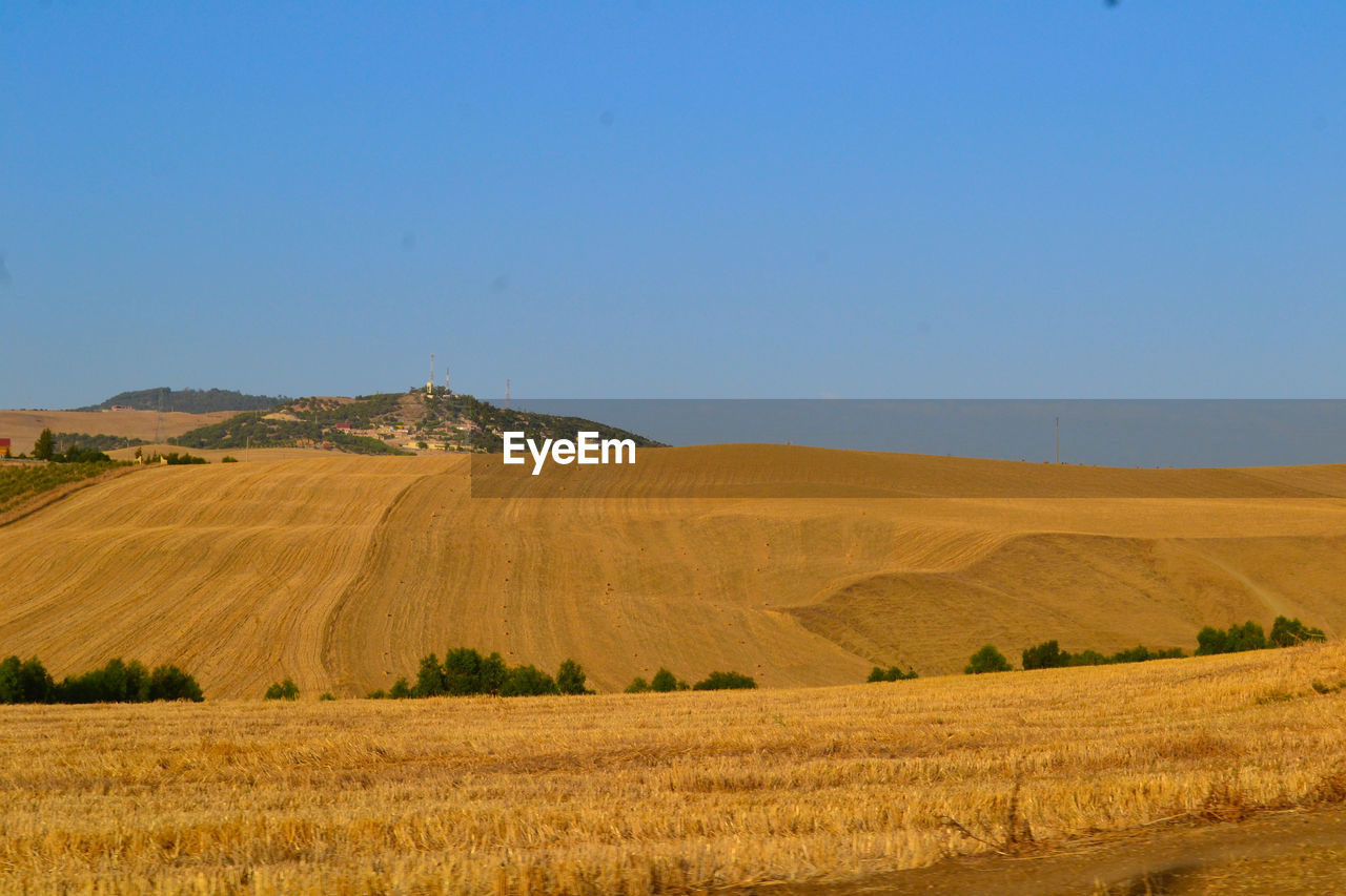 SCENIC VIEW OF LANDSCAPE AGAINST CLEAR SKY