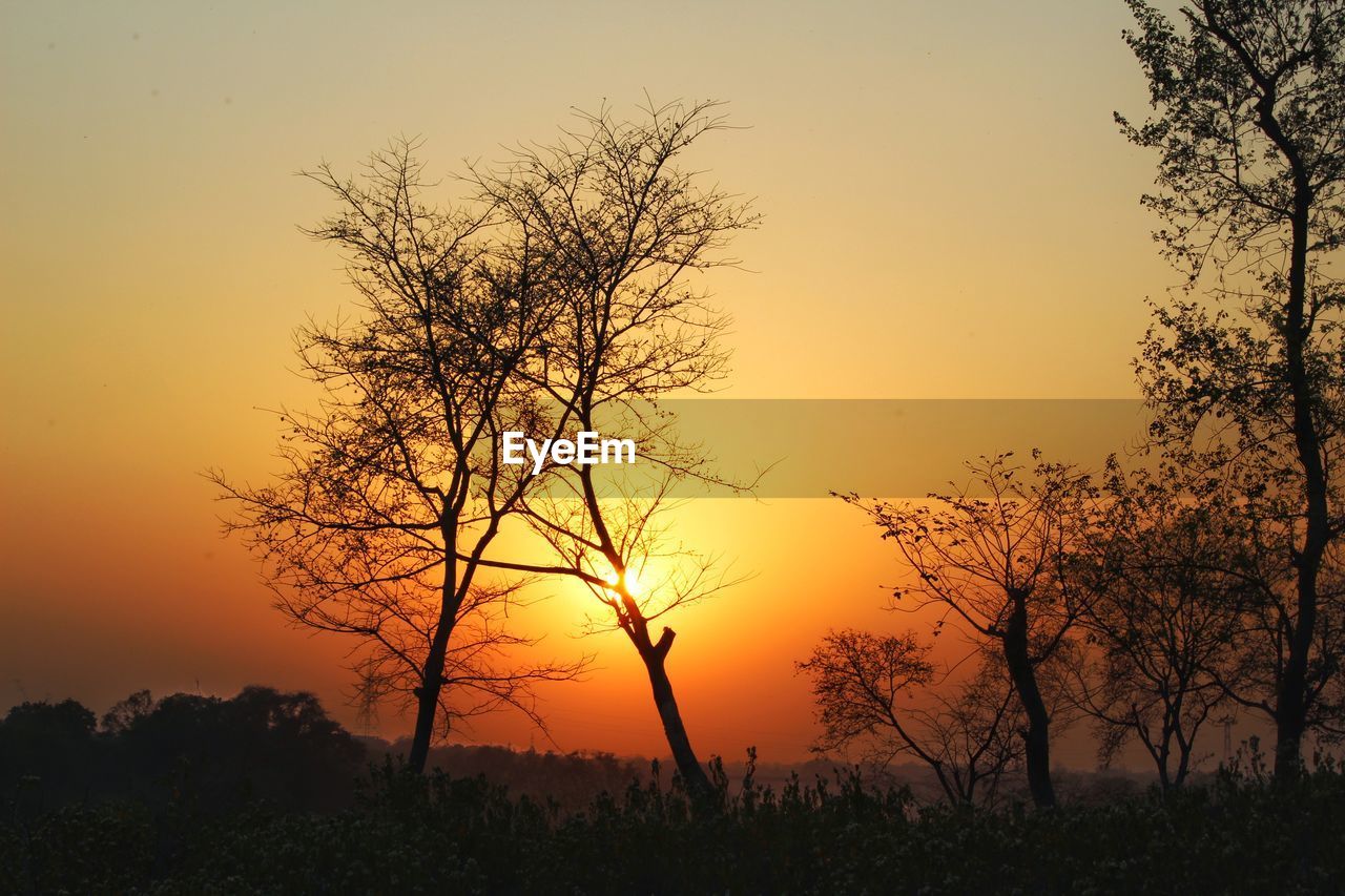 Silhouette bare tree against romantic sky at sunset