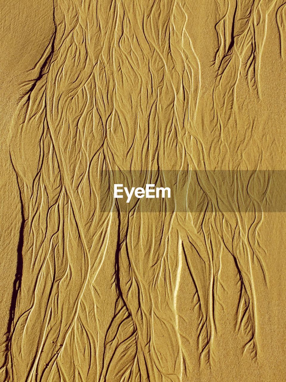 CLOSE-UP OF SAND ON BEACH